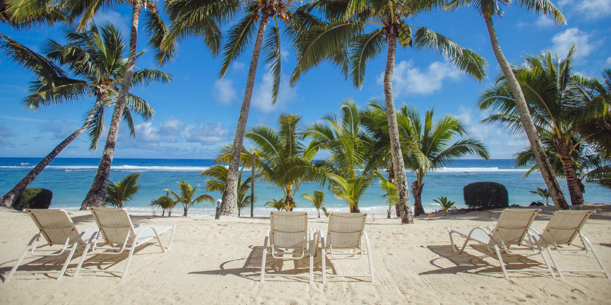 Relax on the sandy shores of Edgewater Resort with breathtaking ocean views and swaying palm trees.